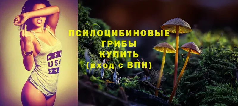 Галлюциногенные грибы MAGIC MUSHROOMS  где можно купить наркотик  Стрежевой 